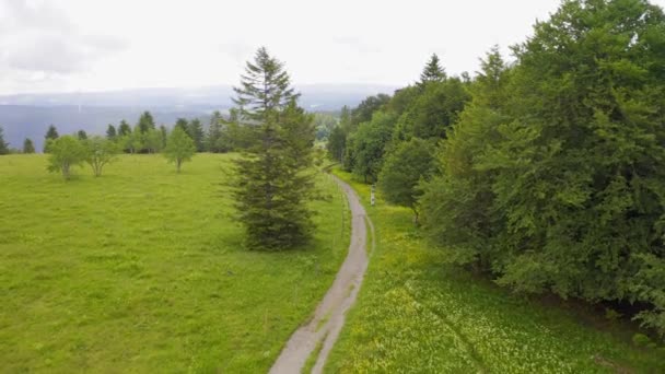 Aérea hacia adelante sobre verdes prados cubiertos de flores y pinos a lo largo del sendero de senderismo. Bosque negro, Alemania. Mal tiempo nublado — Vídeo de stock