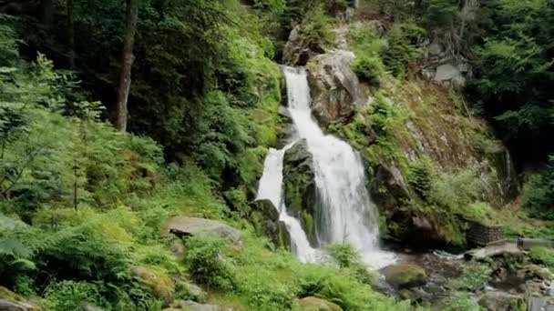 POV Walking towards beautiful waterfall in forest wilderness.Triberg Gutach river waterfall. Сила природы — стоковое видео