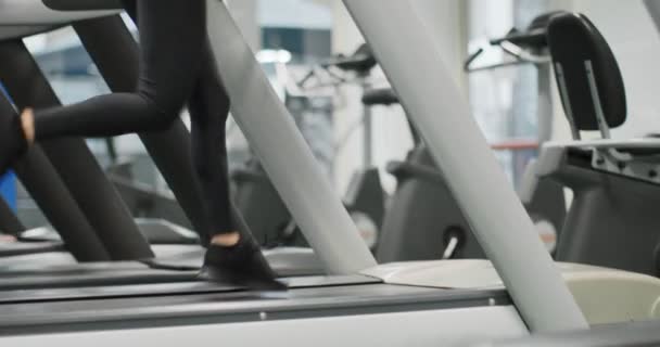 Una joven corriendo en una cinta en el gimnasio. Vista trasera. Entrenamiento de mujeres en el gimnasio. Mujer ejercitando ejercicio cardiovascular — Vídeos de Stock