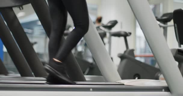 Mulher jovem andando em uma esteira no ginásio. Aqueça ou esfrie. Pernas vista lateral tiro de perto, detalhe do corpo inferior. Treino de mulheres no ginásio. Mulher exercitando exercício cardio — Vídeo de Stock