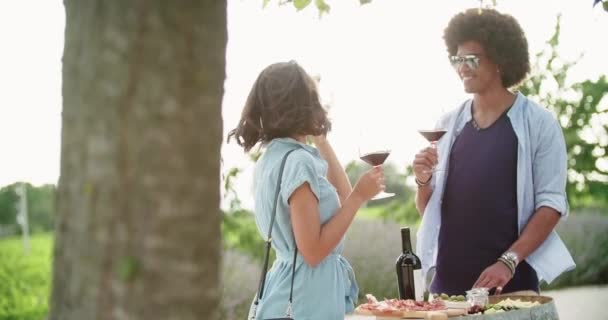 Jovem romântica e homem degustação de vinho com emocionante degustação privada na vinícola italiana. Cultura vinícola. Degustação de vinho. As pessoas degustação de vinho tinto gostam de beber. — Vídeo de Stock