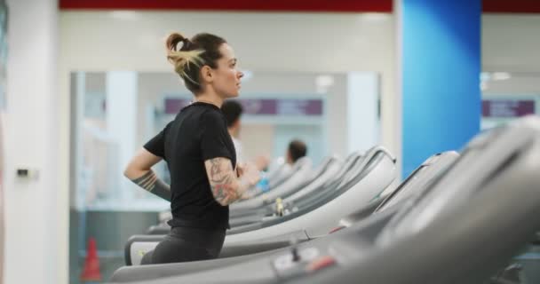 Spor salonunda koşu bandında koşan genç bir kadın. Yan görüş. Spor salonunda kadın eğitimi. Kardiyo egzersizi yapan kadın. — Stok video