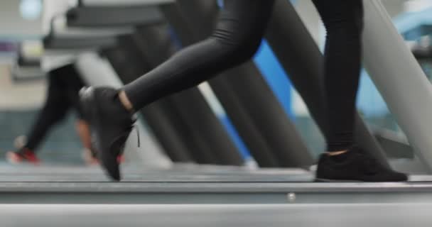 Mujer joven caminando en una cinta de correr en el gimnasio.Calentar o refrescarse.Vista lateral de las piernas de cerca, detalle de la parte inferior del cuerpo. Entrenamiento de mujeres en el gimnasio. Mujer ejercitando ejercicio cardiovascular — Vídeos de Stock