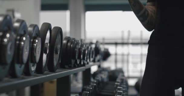 Woman lifting dumbbell weights at gym.Detail of arm lifting weight. Woman training at fitness center. Fitness girl strength workout exercising indoor — Stock Video