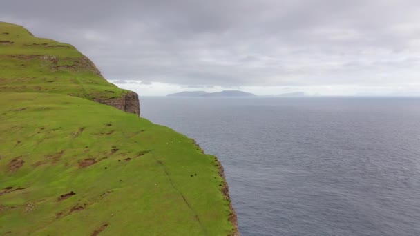 Wild Shoreline Luftaufnahme. Luftaufnahme der atemberaubenden Küste bei bewölktem Wetter. Vorwärts Einspielung. Färöer-Antenne — Stockvideo