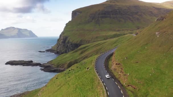 Car driving along coastal road view on wild green island. Faroe Island road along beautiful coast. Faroe Vagar island, Denmark. Forward aerial flight — Stock Video