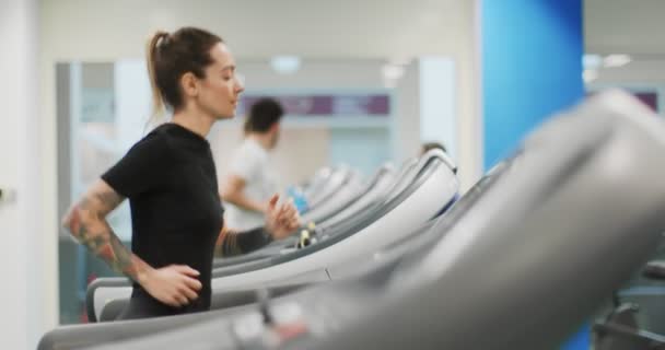 Spor salonunda koşu bandında koşan genç bir kadın. Yan görüş. Spor salonunda kadın eğitimi. Kardiyo egzersizi yapan kadın. — Stok video