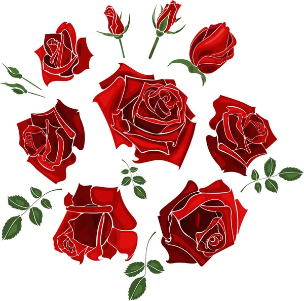 手绘套的玫瑰，玫瑰花蕾和白色背景上的叶子. — 图库矢量图片
