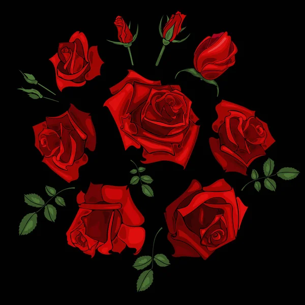 Handritad uppsättning av rosor, ros knoppar och blad på vit bakgrund. — Stock vektor