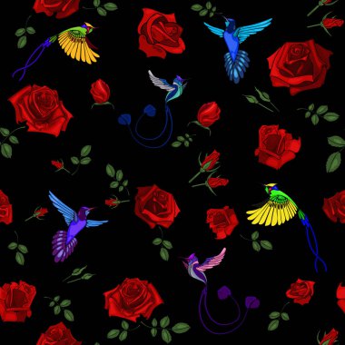 Gül çiçek siyah arka plan vektör çizim üzerinde renkli egzotik colibri kuş