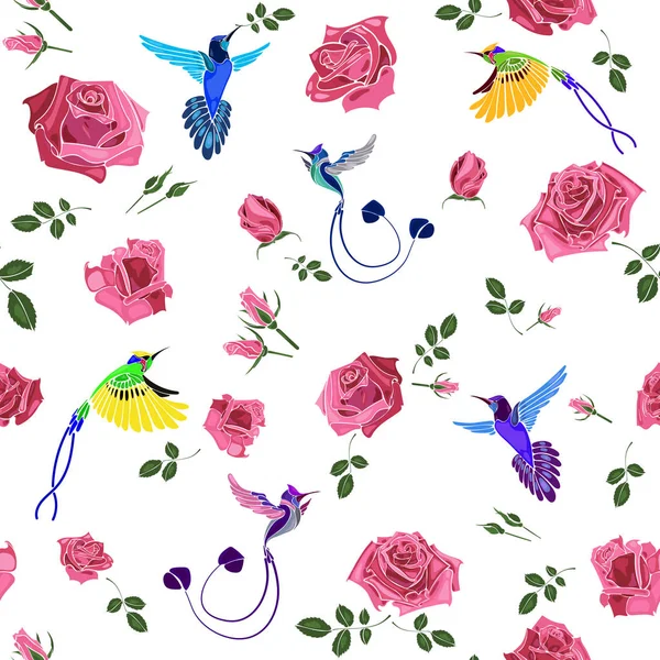 Gül çiçek beyaz arka plan vektör çizim üzerinde renkli egzotik colibri kuş