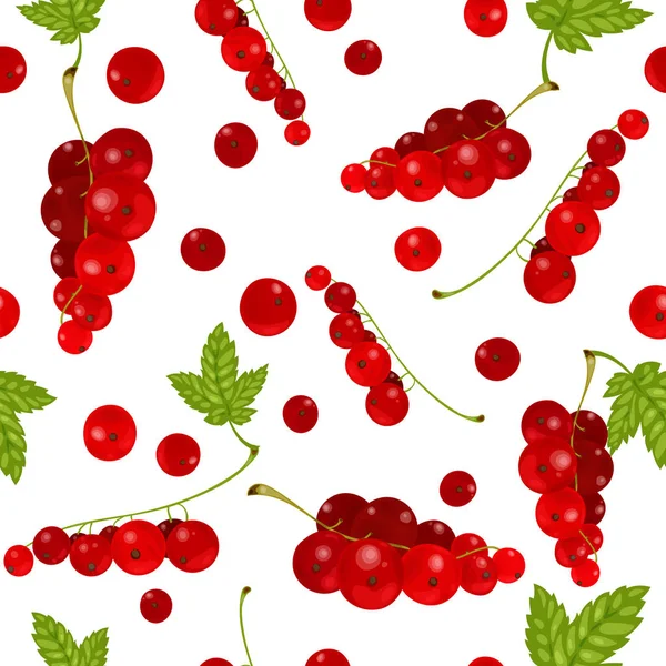 Vector illustration of red currants. Seamless pattern. Red currant collection on white background — Stock Vector