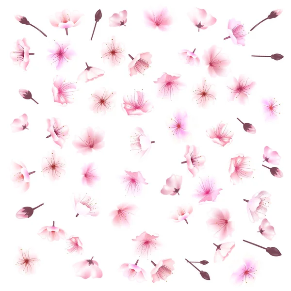 Fiori di ciliegio, fiori di sakura, set, rosa, collezione di fiori, illustrazione vettoriale — Vettoriale Stock