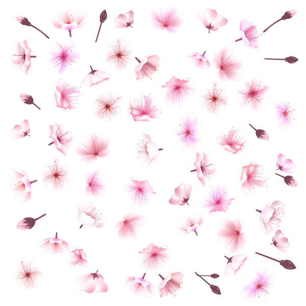Cherry blossom, flowers of sakura, set, pink, flowers collection,vector illustration