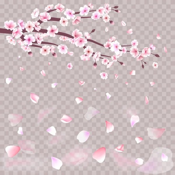 Ramo de cereja sakura japão realista com flores florescendo ilustração vetorial — Vetor de Stock