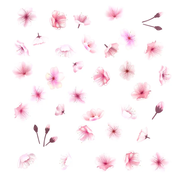 Körsbärsblom, blommor av sakura, set, rosa, insamling, vektor illustration — Stock vektor