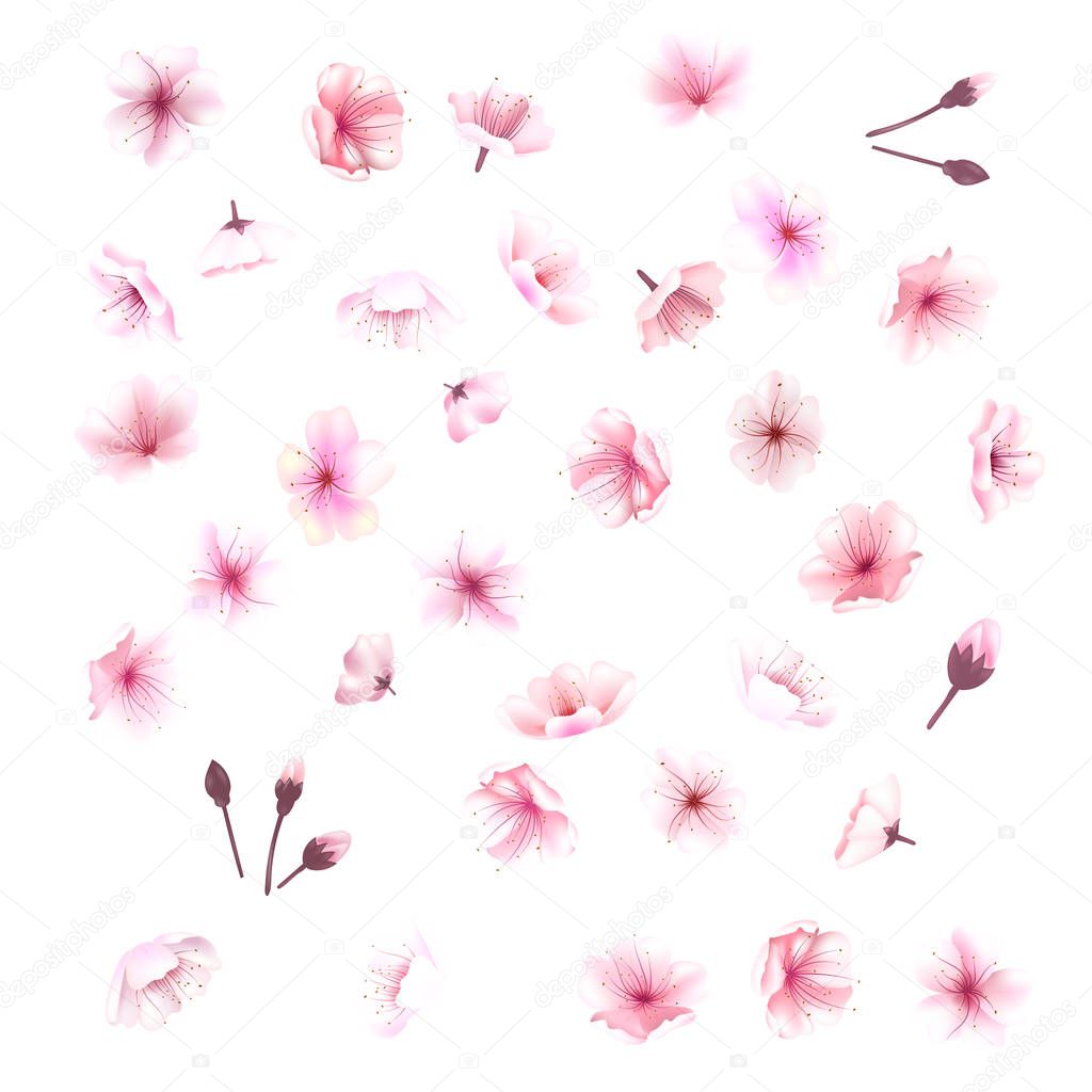 Cherry blossom, flowers of sakura, set, pink,  collection,vector illustration