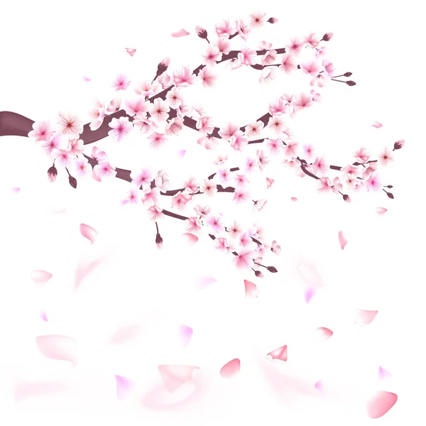 Realistische Sakura Japan Kirschzweig mit blühenden Blumen Illustration — Stockvektor