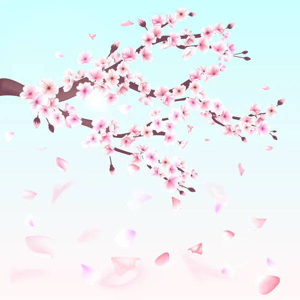 Sakura realista ramo de cerezo de Japón con flores florecientes ilustración — Archivo Imágenes Vectoriales