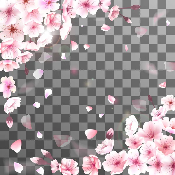Ciliegia in fiore. Sfondo primavera. Petali rosa sakura cadenti. Vettore EPS 10 — Vettoriale Stock