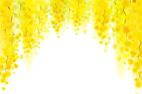 Giallo mimosa primavera fiori ghirlanda verticale su sfondo bianco — Vettoriale Stock