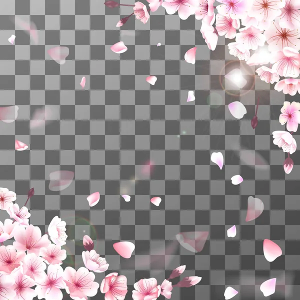 Virágzó cseresznye. Tavaszi háttér. Csökkenő sakura rózsaszín szirmok. Vektoros EPS-10 — Stock Vector