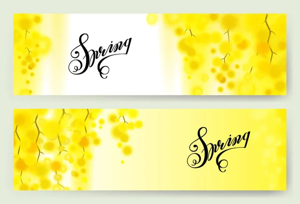 Yellow mimosa spring flowers vertical garland on white background. — Stock Vector