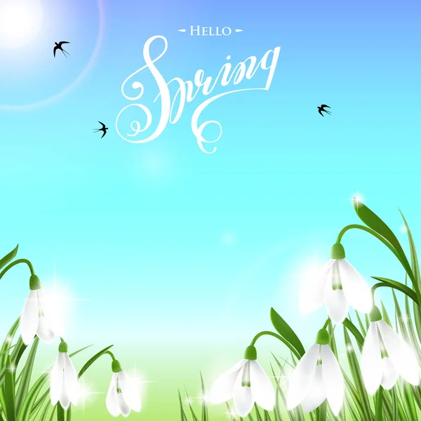 Fondo de primavera con flores nevadas, hierba verde, golondrinas y cielo azul . — Archivo Imágenes Vectoriales