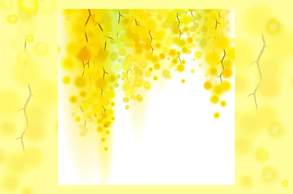 Gelbe Mimosen Frühlingsblumen vertikale Girlande auf weißem Hintergrund. — Stockvektor