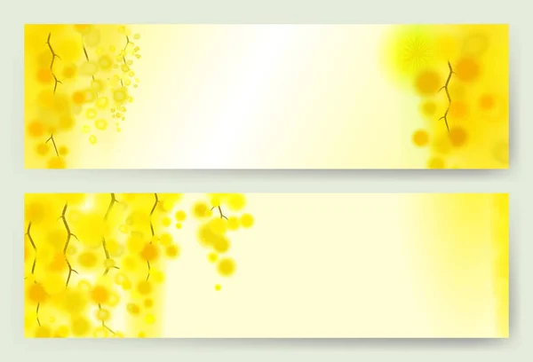 Žluté mimózy jarní květiny vertikální věnec na bílém pozadí. — Stockový vektor