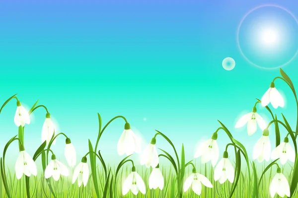 Fond printanier avec des fleurs de chute de neige, herbe verte, hirondelles et ciel bleu . — Image vectorielle