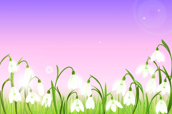 Fondo de primavera con flores nevadas, hierba verde, golondrinas — Vector de stock