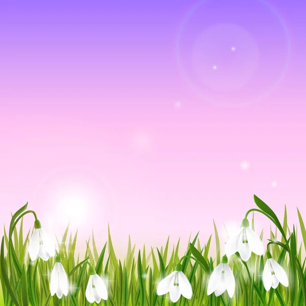 春の背景とスノー ドロップの花、緑の草のツバメします。 — ストックベクタ