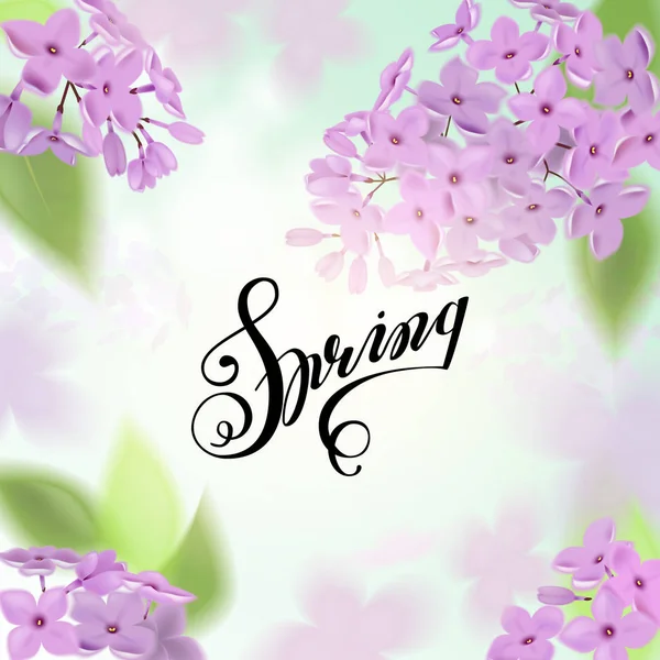 Πανό για το Διαδίκτυο διάνυσμα με μωβ, ροζ, μπλε και λευκό λιλά λουλούδια. — Διανυσματικό Αρχείο