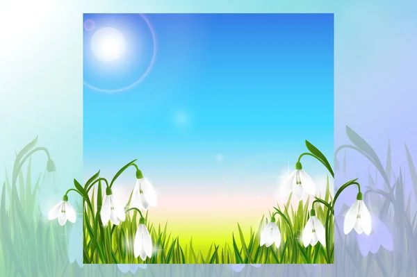 Spring background with snowdrop flowers, green grass, swallows and blue sky.