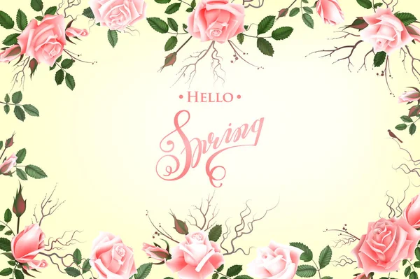 Hello Spring Background with Roses. Hand Drawn Lettering — Stock Vector