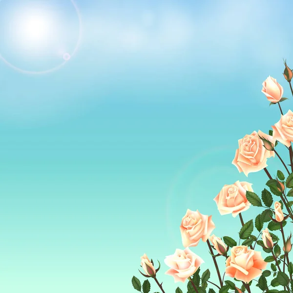 Tarjeta de felicitación con rosas se puede utilizar como tarjeta de invitación para la boda, cumpleaños y otras vacaciones y fondo de verano. Ilustración vectorial . — Vector de stock