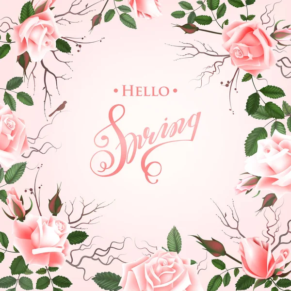 Hello Spring achtergrond met rozen. Hand getrokken belettering — Stockvector