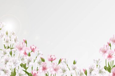 Tebrik kartı Alstroemeria ile düğün, doğum günü ve diğer tatil ve yaz arka plan için davetiye kullanılabilir. Vektör çizim.