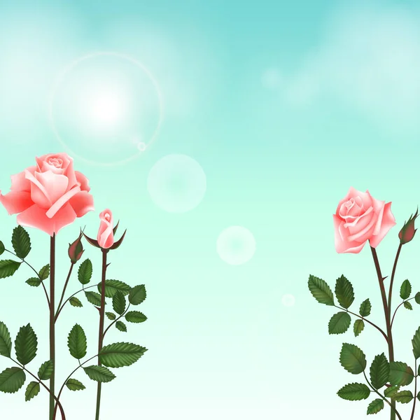 Tarjeta de felicitación con rosas, brotes delicados, flores, ramas. Se puede utilizar como tarjeta de invitación para la boda, cumpleaños y otras vacaciones y fondo de verano. Ilustración vectorial EPS10 — Vector de stock