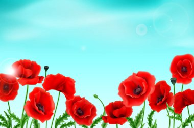 Tebrik kartı Alstroemeria ile düğün, doğum günü ve diğer tatil ve yaz arka plan için davetiye kullanılabilir. Vektör çizim.