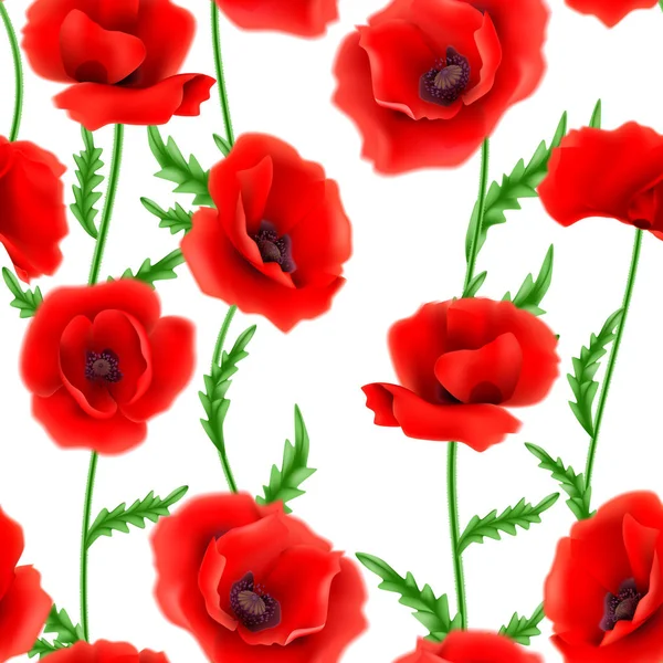 Patrón sin costuras con flores de amapola roja — Vector de stock