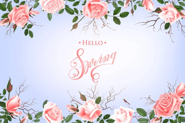 Hello Spring Background with Roses. Hand Drawn Lettering — Stock Vector
