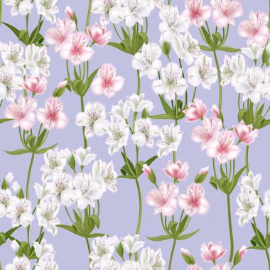 Güzel alstroemeria sorunsuz arka plan üzerinde. Vektör çizim.