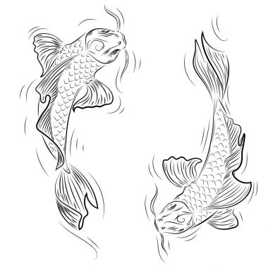 Yin Yang Koi Fish Drawing - Koi Fish Yin Yang Drawing Easy Novocom Top - Hare drawing cat mammal koi fish yin and yang png download 786.