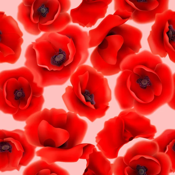 Modèle sans couture avec des fleurs de pavot rouge — Image vectorielle