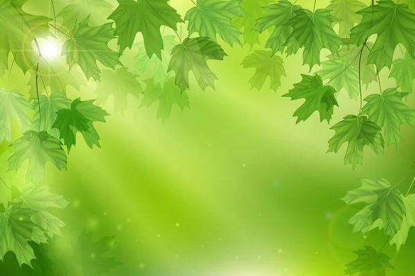 Bosque hojas verdes frescas con rayos de sol. Primavera y verano Fondo — Vector de stock