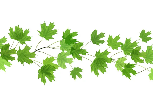 Forest färska gröna blad med solens strålar. Våren och sommaren bakgrund — Stock vektor