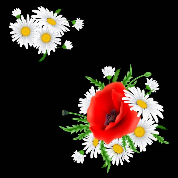 Strauß von Mohn und Kamillenblüten — Stockvektor