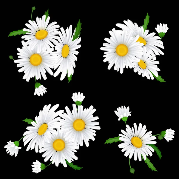 Bouquet marguerite réaliste, fleurs de camomille — Image vectorielle